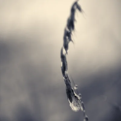 water stream falling through soft focus background